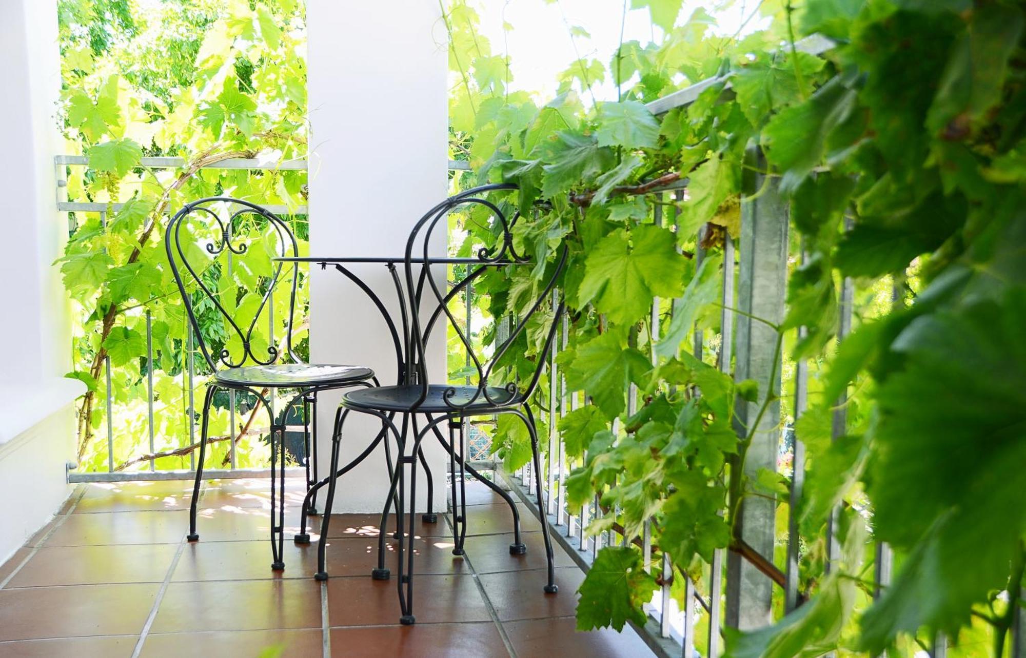 Penelope'S Stellenbosch Bed & Breakfast Exterior photo